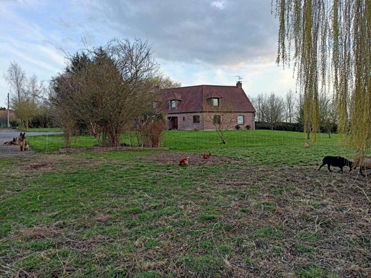 Les Chambres D'Hotes Du Vert Galant " L'Allee Des Champs" Verlinghem Exteriér fotografie